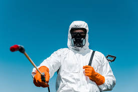 Professional Pest Control in Ben Wheeler, TX